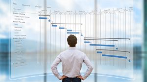 Review Of Project Timeline